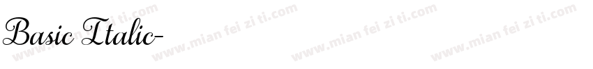 Basic Italic字体转换